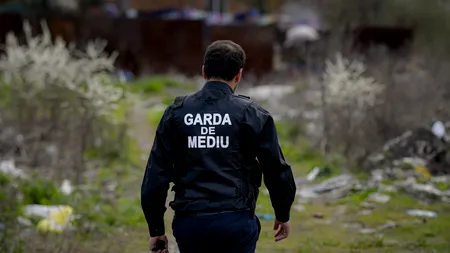 VIDEO | Octavian Berceanu: Nu se întâmplă așa ceva nicăieri în Europa / „Primăria Fântânele, responsabilă de Parcul Natural Apuseni, a pus mâinile pe piept şi a spus: Foarte frumos, ne place, mai veniţi pe la noi! E inadmisibil aşa ceva