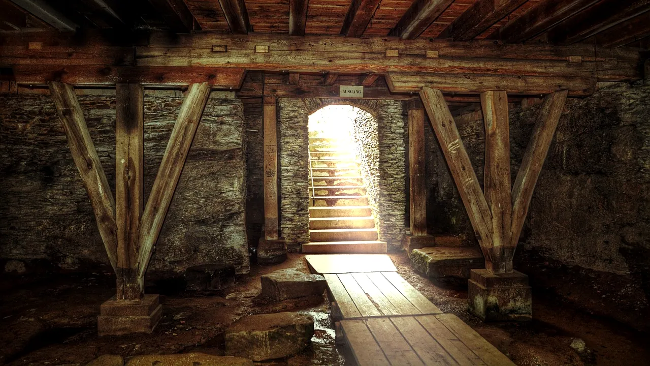 Un austriac și-a ascuns mama moartă în pivniță mai bine de un an de zile ca să-i ia pensia