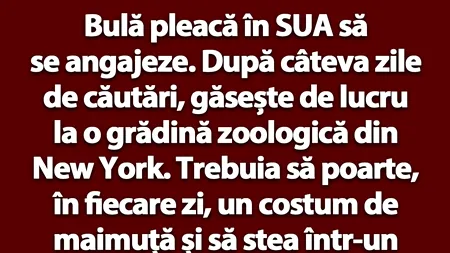 BANC | Bulă se angajează în SUA
