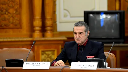 Becali, în prima intervenție din Comisia juridică: Nu ne subordonăm ANI, să punem piciorul în prag!