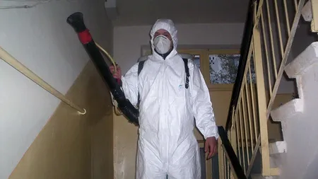 ISU Suceava: Insecticidul folosit pentru deratizarea scării unui bloc, unde două persoane s-au simțit rău, este unul autorizat