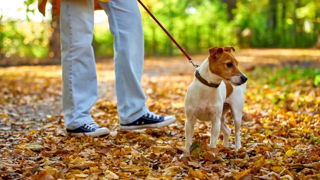 SALUBRIZARE Sector 5: 