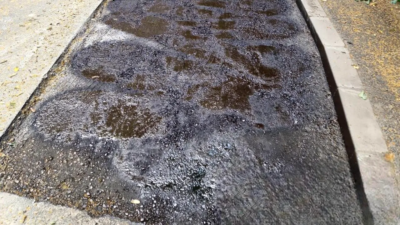 (P) Administrația de sector anunță că s-au 