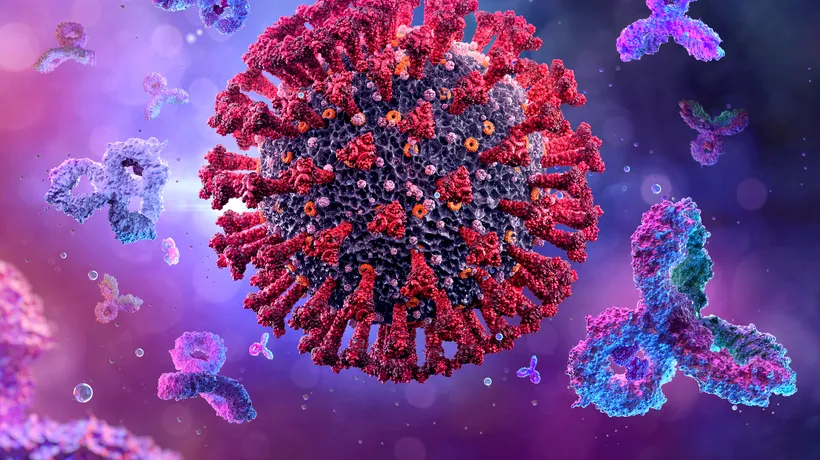 Oamenii de știință de la Universitatea din Pittsburgh au descoperit un anticorp care „neutralizează” SARS-CoV-2