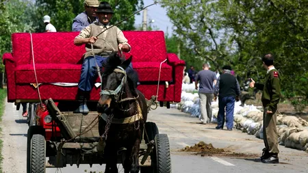 CĂLĂRAȘI. Unde au mers banii publici în 2014. Topul firmelor care au contracte locale cu statul