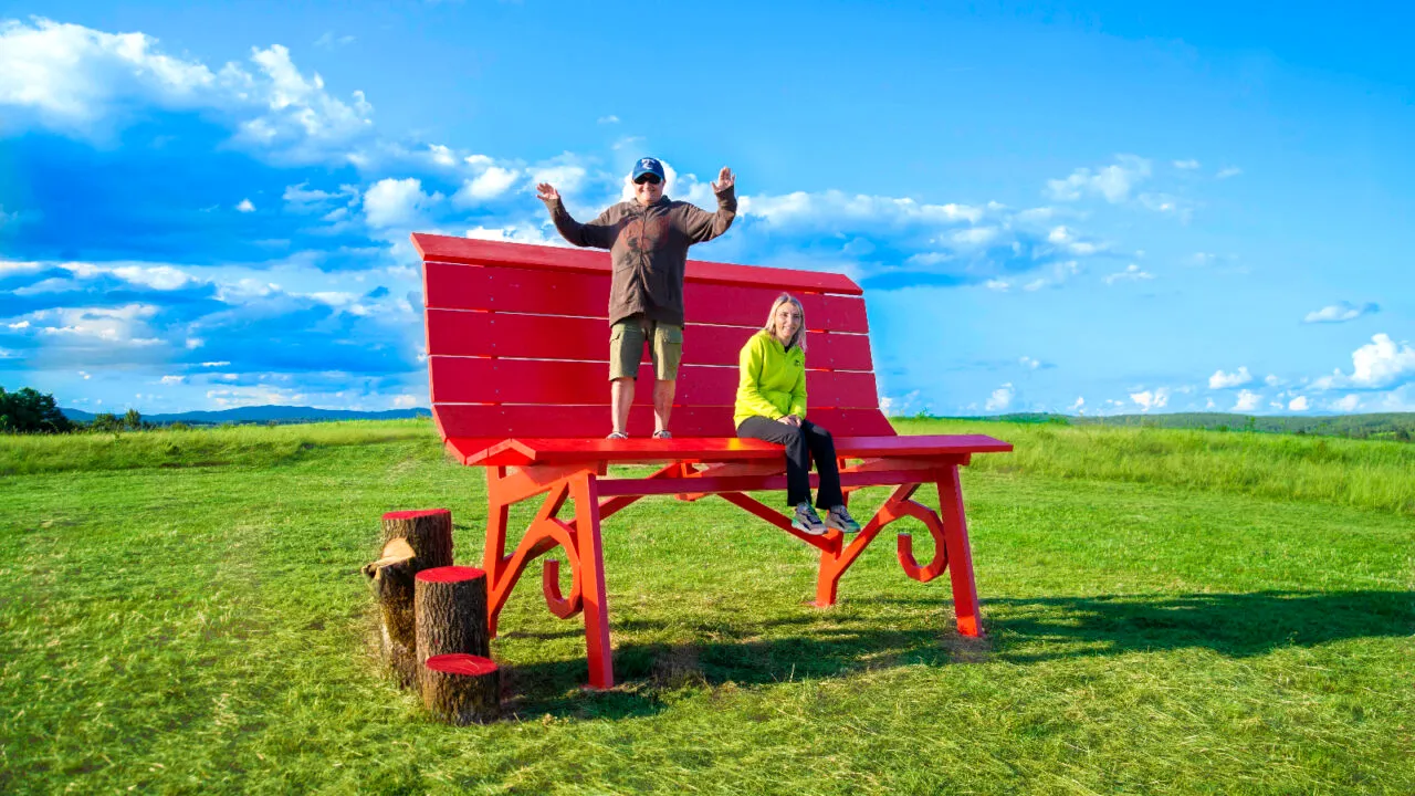 Așa arată cea mai mare bancă de lemn din România, înaltă de aproape trei metri. Face parte dintr-o rețea internațională de promovare a turismului