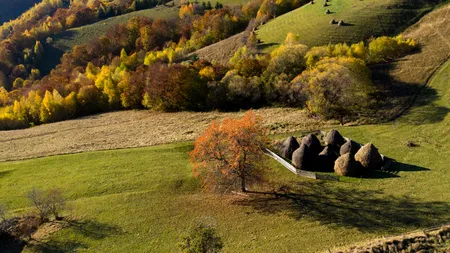 „Perla” ascunsă între Munții Bucegi și Piatra Craiului unde turiștii respiră aer curat. Aici se regăsește primul sat turistic din țară