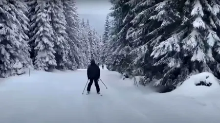 Stațiunea din România în care turiștii au parte de experiențe ca în Alaska. Cât costă un traseu de o zi cu atelaje trase de câini Husky