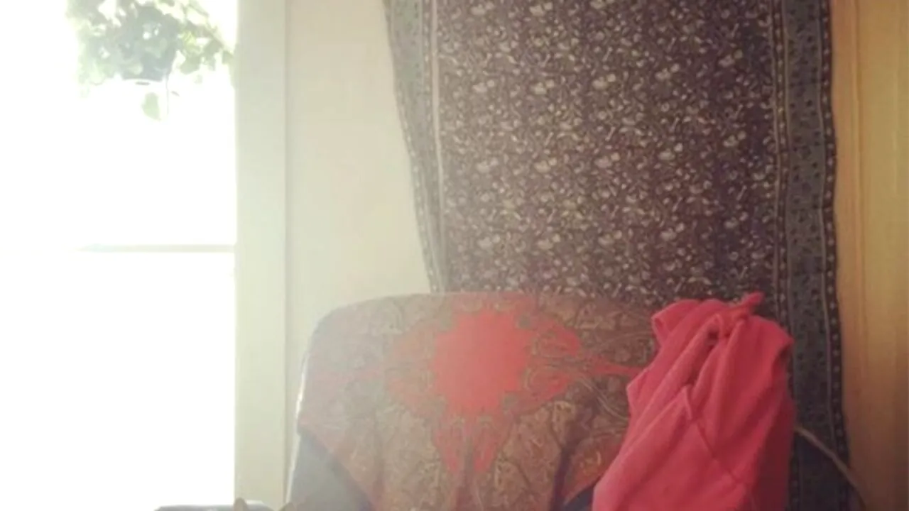 ILUZIE optică virală | Aveți la dispoziție 7 secunde pentru a descoperi pisica ascunsă în această imagine