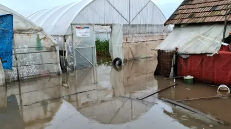 VIDEO | Furtunile puternice au făcut ravagii în sudul țării: ”Suntem disperați!” (GALERIE FOTO)