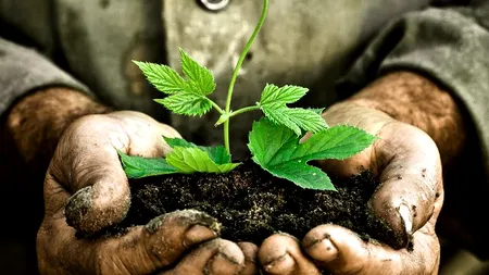 ZIUA PĂMÂNTULUI 2013. Ce evenimente au loc în România de ZIUA PĂMÂNTULUI 2013