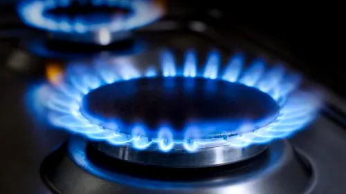 Percheziții de amploare în cazul unor companii de distribuţie de gaze naturale care au “umflat” facturile. Marcel Vela: „Au fost raportate pierderi mari”