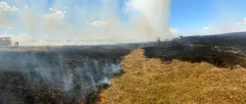 FOTO | 400 de hectare din Poligonul Babadag au luat foc în urma activităţilor executate de militari francezi. Zeci de pompieri au intervenit pentru stingerea incendiului