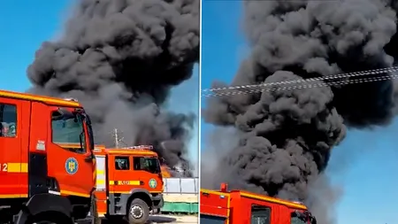 Incendiu de proporții la o hală de deșeuri și mase plastice din județul Prahova. Autoritățile au emis mesaj RO-Alert