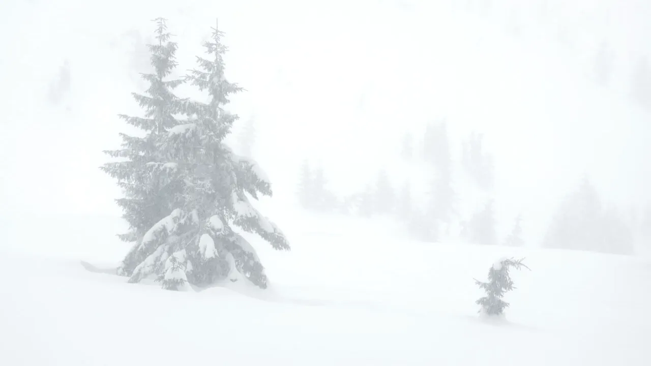 Vreme deosebit de rece, îngheț la sol și precipitații mixte până joi seară. E cod GALBEN de vânt puternic, viscol şi zăpadă