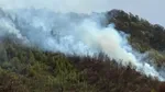 Incendiu de PĂDURE în Argeș.  Pompieri, voluntari şi silvicultori intervin pentru stingerea focului