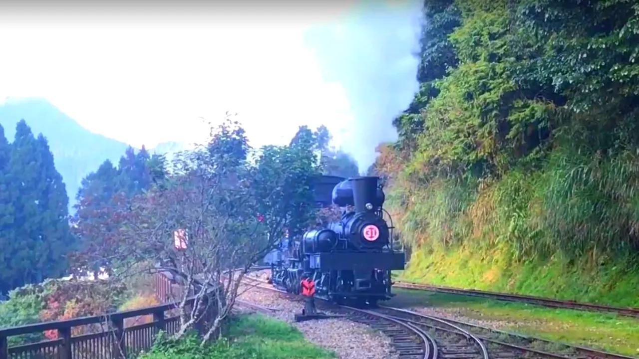 IMAGINI DE VIS cu linia ferată din Munții Alishan. Are peste 70 de kilometri și a fost lansată în urmă cu 106 ani