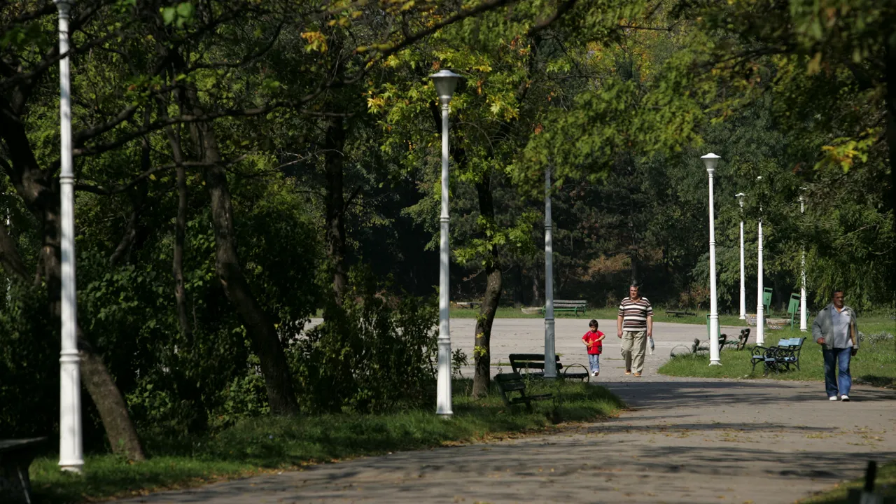 OPERAȚIUNEA MUȘCATA. Primăriile dau milioane de lei pentru flori și arbori 