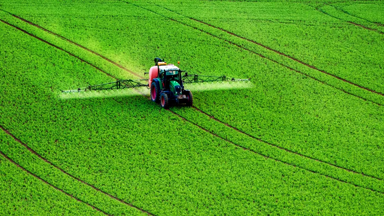 Insecticidele agricole, necesare în menținerea calității recoltelor