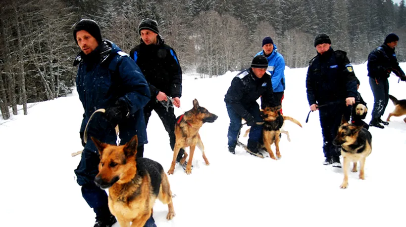 Acțiune a jandarmilor pentru a ajuta să coboare de pe platoul Padina 80 de turiști blocați în zăpadă