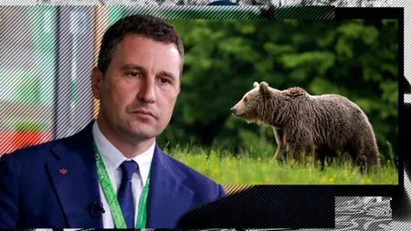 Barna Tánczos a ordonat împușcarea a 481 de urși, în ultima zi de mandat la Ministerul Mediului