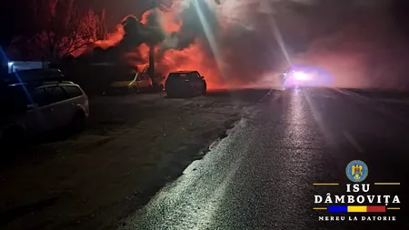Incendiu uriaș la Crevedia, în apropiere de locul exploziei din 2023. O hală cu paleți, containere și cel puțin două mașini au fost mistuie de foc
