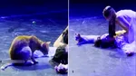 O pisică a devenit vedeta serii în timpul unui spectacol „Romeo și Julieta”. Reacția publicului a fost savuroasă