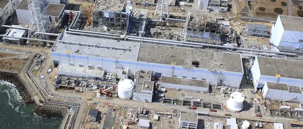 Un sistem de răcire la Fukushima, oprit din cauza unui șobolan mort