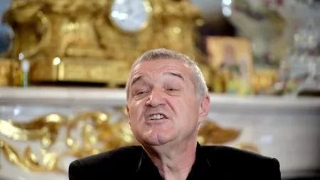 Directorul Școlii de Antrenori îi dă replica lui Gigi Becali în cazul suspendării lui Mihai Pintilii de la FCSB!
