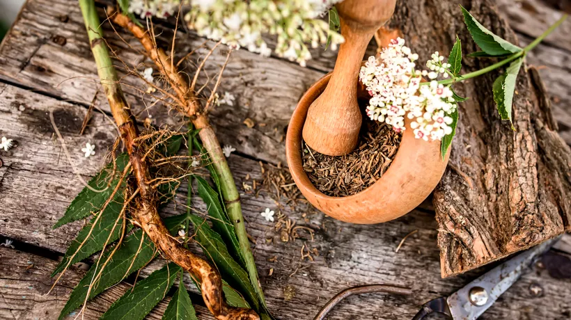 Care sunt cele mai puternice plante medicinale. Au multe întrebuințări și tratează mai multe afecțiuni