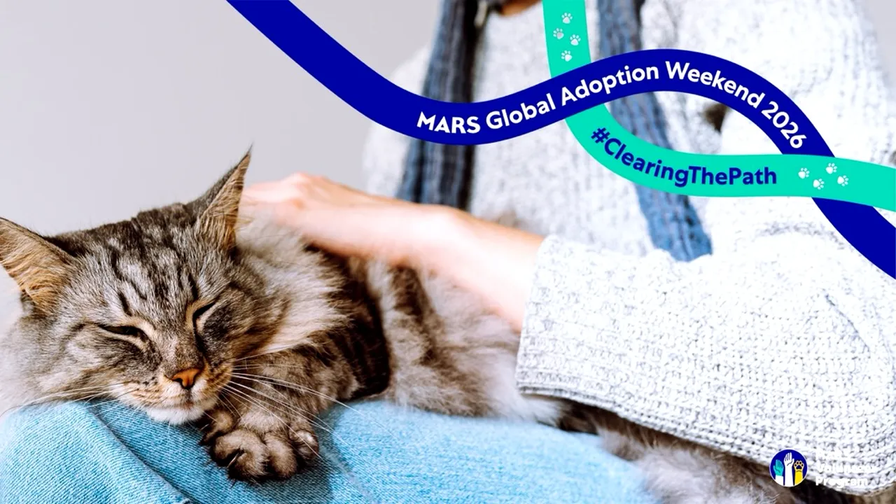 (P) Mars lansează o platformă dedicată adopției animalelor de companie, în contextul unui nou studiu care arată ce îi împiedică pe oameni să adopte