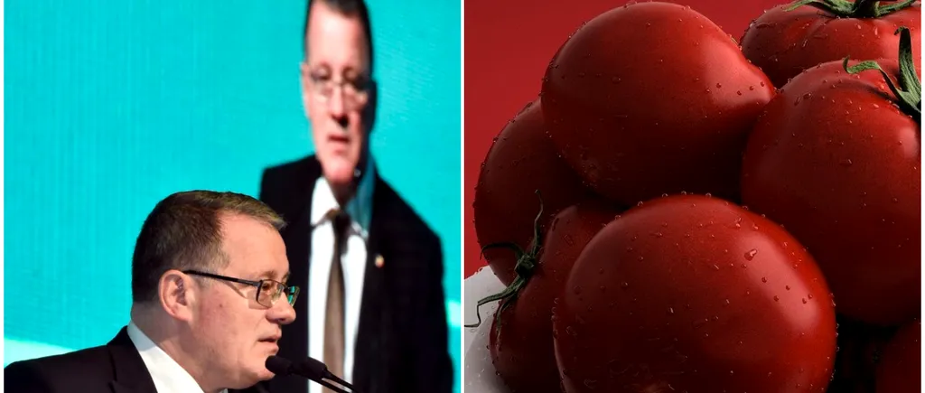 Suspiciuni de fraudă în Programul Tomata. „Au fost foarte multe semne de întrebare privind veridicitatea unor dosare”, (Oros, MADR)
