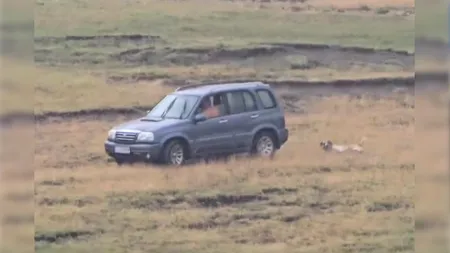 Imagini greu de privit! Un bărbat din județul Cluj și-a LEGAT câinele de mașină și l-a târât sute de metri / Reacția Poliției