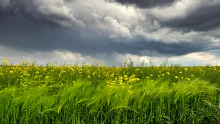 Vremea. Scăpăm parțial de ploaie. Temperaturi normale, de sezon