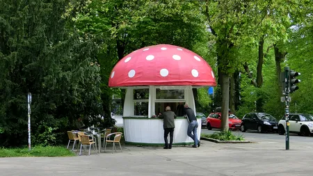 CHIOȘCURILE din parcuri, pe lista neagră a Primăriei Capitalei. Viceprimarul Horia Tomescu anunță: „Aici e cea mai mare problemă”