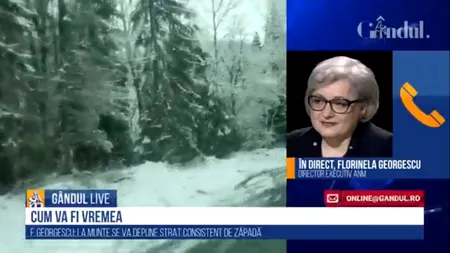 GÂNDUL LIVE. Florinela Georgescu, director executiv ANM: Tabloul de iarnă se va așterne peste întreaga țară | VIDEO