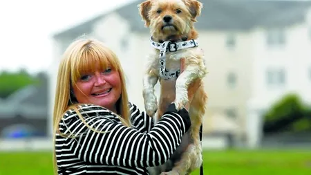 Unde și-a regăsit fericirea maidanezul Basil, după ce a fost abandonat pe străzile din București