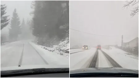 Ninge ca în povești în România. Imaginile au fost suprinse astăzi