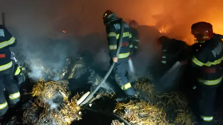 VIDEO | Incendiu la o hală din Vrancea. 8 ore s-au chinuit pompierii să stingă flăcările