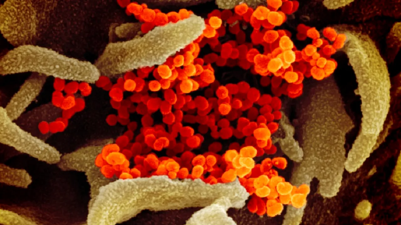 Cine sunt, de fapt, angajații de la Grupul de Comunicare Strategică