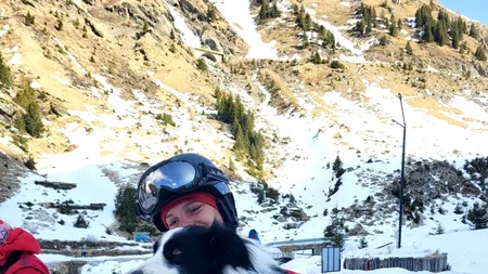 S-a pensionat primul câine salvator/Raed Arafat: Sper să aibă liniște după ce a făcut tot ce a putut pentru a schimba lucrurile în România