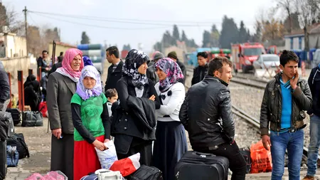 Zeci de imigranți găsiți în Timișoara, în Complexul Studențesc și într-o tabără improvizată