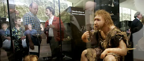Oamenii de Neanderthal erau dreptaci și înzestrați probabil cu darul vorbirii - STUDIU
