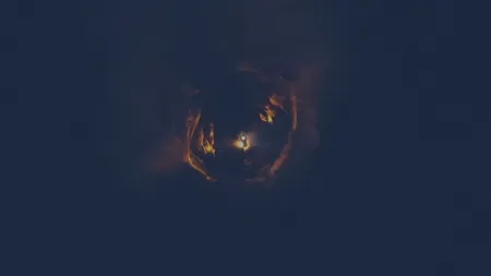 Lansare ratată pentru misiunea spațială a lui Elon Musk: Racheta Starship s-a DEZINTEGRAT la scurt timp după lansare