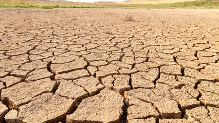 Octavian Berceanu anunță „Apocalipsa” în agricultură. „Megaseceta se suprapune cu Prostia, în România!”