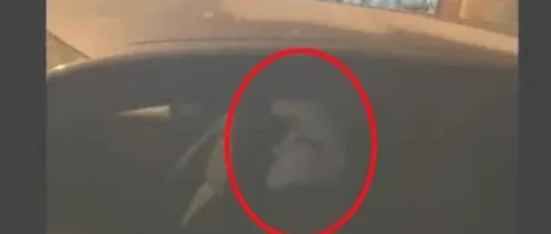 Polițistul adormit. Un om al legii a fost filmat în timp ce dormea la volan, cu motorul pornit, în timpul serviciului - VIDEO