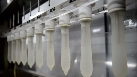 De ce nu există încă un prezervativ mai bun? Antreprenorii care și-au propus să revoluționeze acest produs