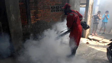 În sfârșit, Primăria Capitalei ATACĂ țânțarii. Tot mai mulți bucureșteni SE PLÂNG de invazia enervantelor insecte