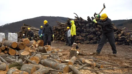 EXCLUSIV VIDEO | Sebastian Burduja, printre voluntari la debutul proiectului „Case cu căldură”. 