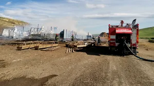 FOTO-VIDEO | Peste 200 de oi au murit într-un incendiu izbucnit într-o localitate din județul Botoșani